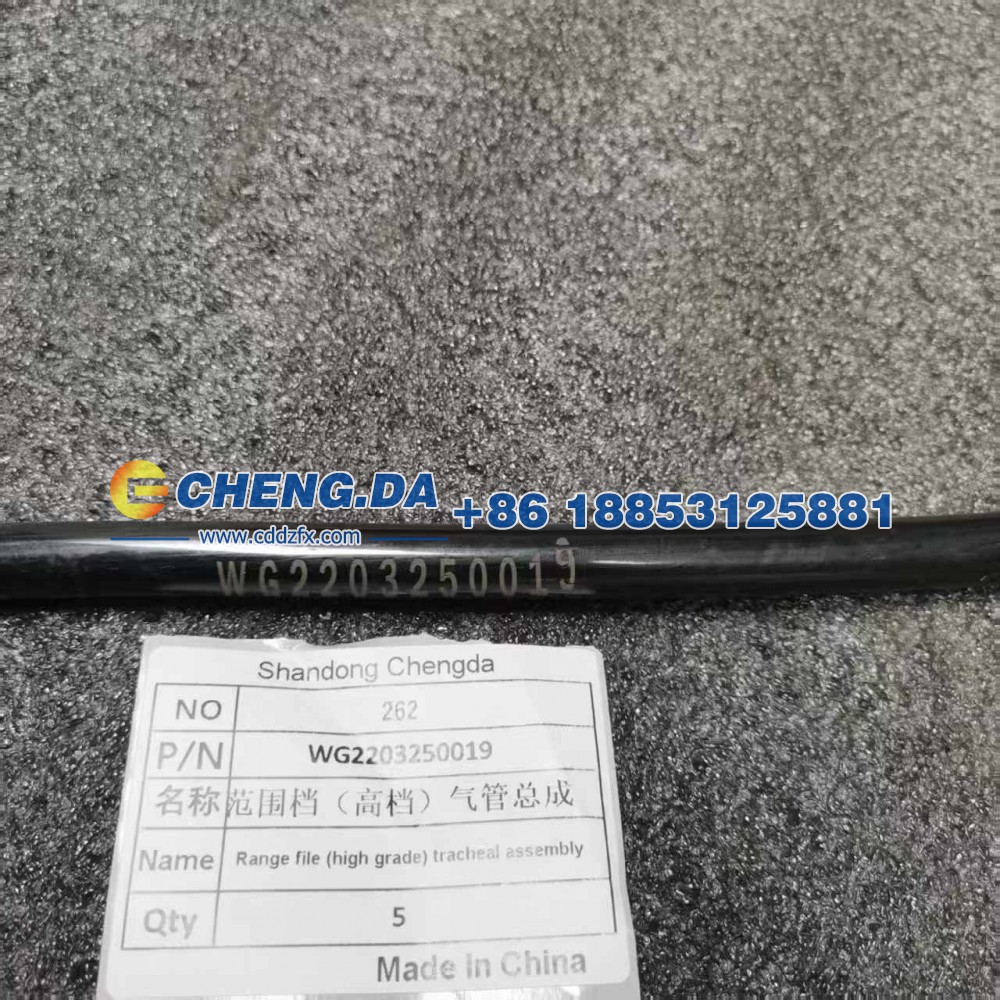 WG2203250019范围档（高档）气管总成/WG2203250019