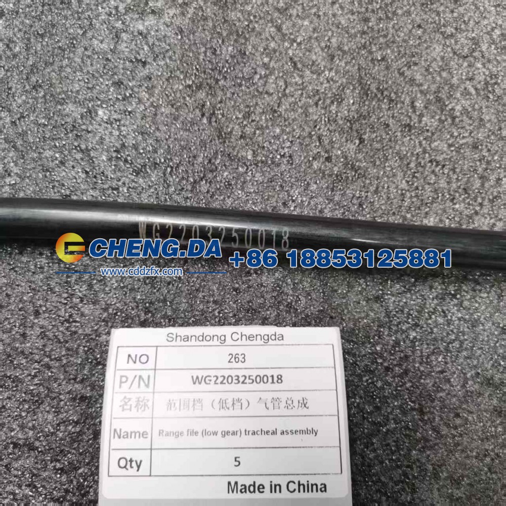 WG2203250018范围档（低档）气管总成/WG2203250018
