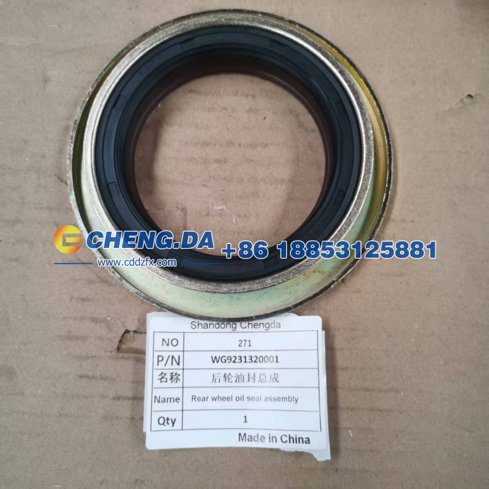 WG9231320001后轮油封总成
