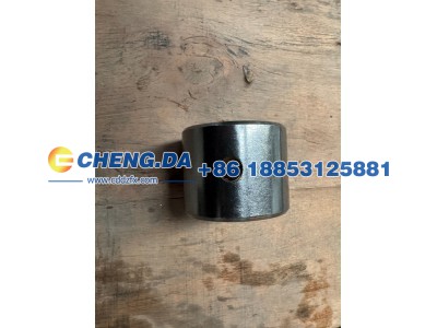 WG7121340007,前桥立轴下衬套,山东鼎赞飞行汽车制造有限公司