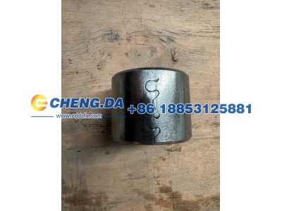 WG7121340007,前桥立轴下衬套,山东鼎赞飞行汽车制造有限公司