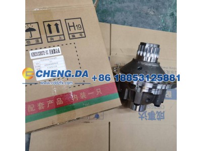 AZ9231320272-ZC,差速器总成,山东鼎赞飞行汽车制造有限公司