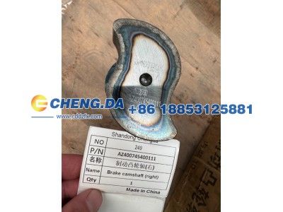 AZ400745400111,制动凸轮轴(右),山东鼎赞飞行汽车制造有限公司