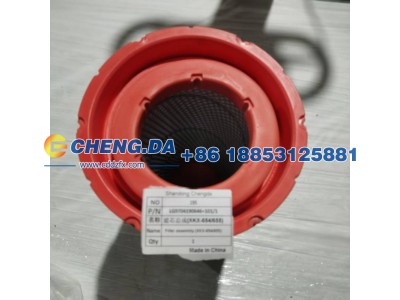 LG9704190646-101-1,滤芯总成(XKX-654-655),山东鼎赞飞行汽车制造有限公司