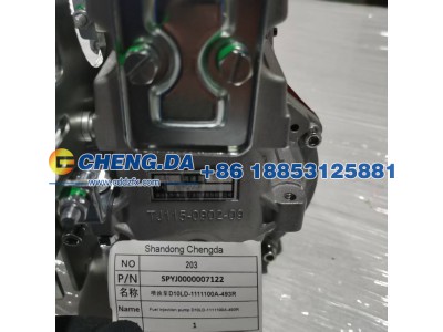 SPYJ0000007122,喷油泵D10LD-1111100A-493R,山东鼎赞飞行汽车制造有限公司