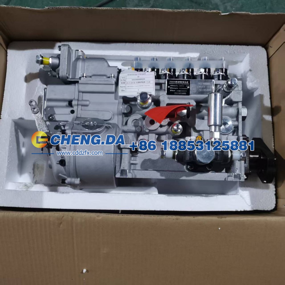 VG1560080023高压油泵 CB6P828 全新