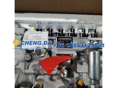 VG1560080023,高压油泵 CB6P828 全新,山东鼎赞飞行汽车制造有限公司