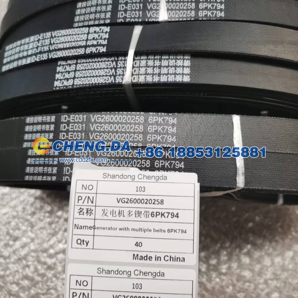 VG2600020258发电机多锲带6PK794图5
