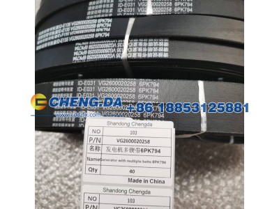 VG2600020258,发电机皮带,山东鼎赞飞行汽车制造有限公司