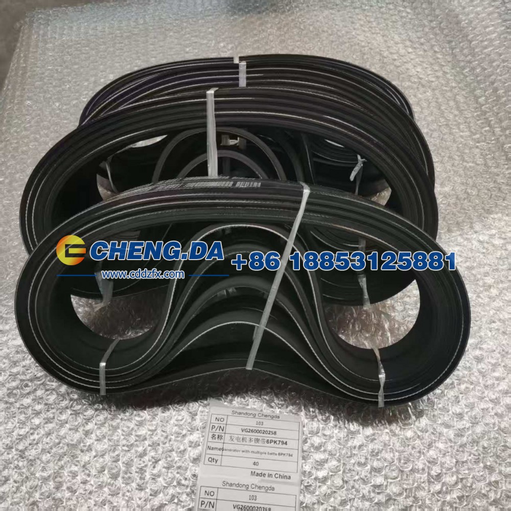 VG2600020258发电机多锲带6PK794图4