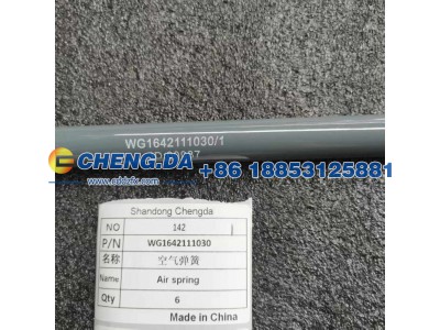 WG1642111030,气体弹簧支撑栓 HW10款,山东鼎赞飞行汽车制造有限公司