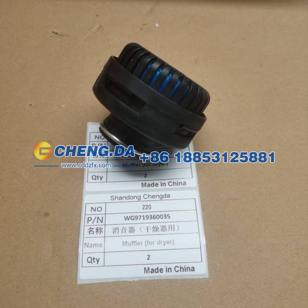 WG9719360035消音器（干燥器用）