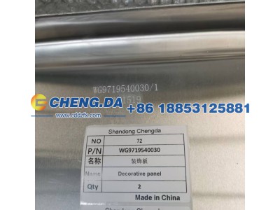 WG9719540030,装饰板,山东鼎赞飞行汽车制造有限公司