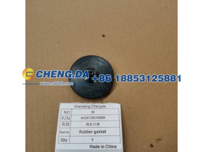 WG9719570009,橡胶衬圈,山东鼎赞飞行汽车制造有限公司
