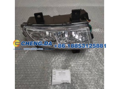 WG9719720026,右雾灯,山东鼎赞飞行汽车制造有限公司