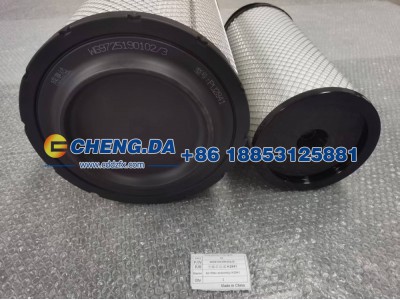 WG9725190102-3,空滤芯总成 K2841-成事达好的,山东鼎赞飞行汽车制造有限公司