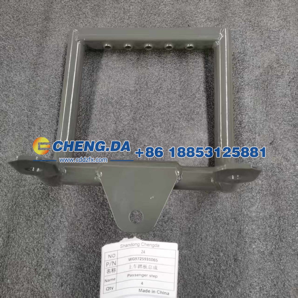 WG9725931065上车踏板总成