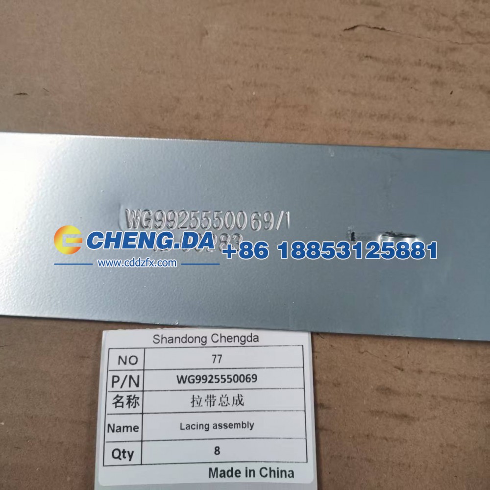 WG9925550069拉带总成