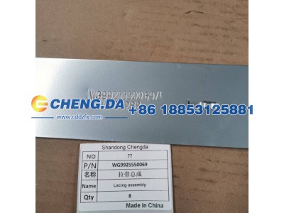 WG9925550069,拉带总成,山东鼎赞飞行汽车制造有限公司
