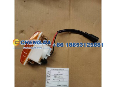 WG9925720012,侧转向灯(左),山东鼎赞飞行汽车制造有限公司