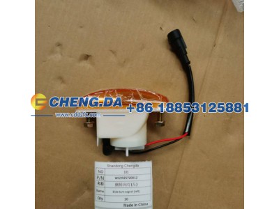 WG9925720012,侧转向灯(左),山东鼎赞飞行汽车制造有限公司