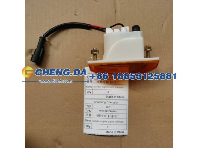 WG9925720013,侧转向灯(右)边灯 豪沃10款,山东鼎赞飞行汽车制造有限公司