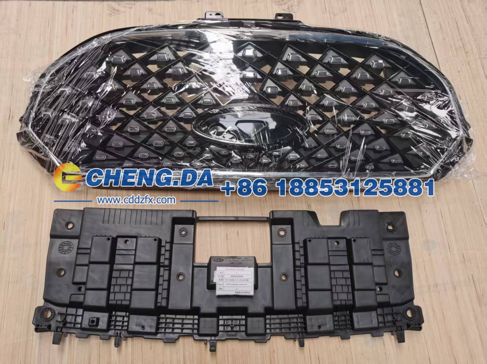 602001506AA 带有摄像头孔的前格栅