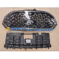 602001506AA 带有摄像头孔的前格栅