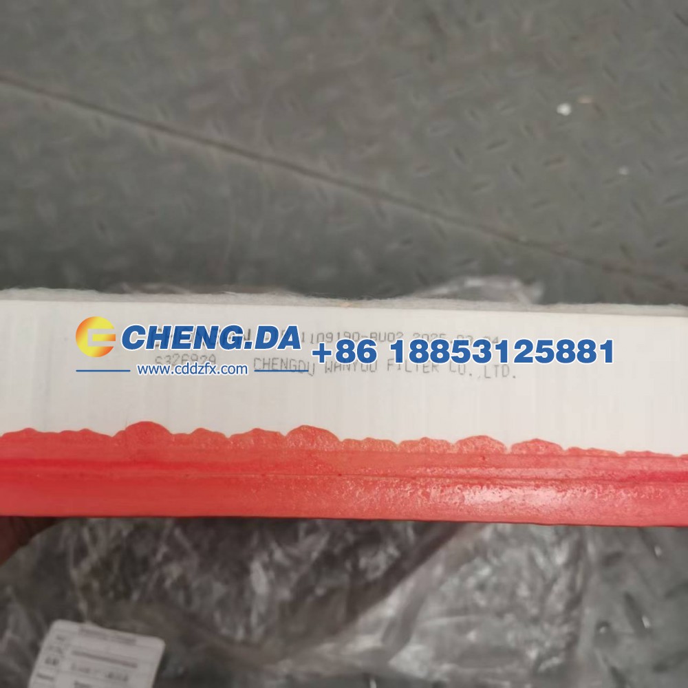 LS62H93S0SG803543-KQLQQ,发动机空气滤清器,山东鼎赞飞行汽车制造有限公司