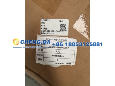 LDP42A963R9000957,大灯,山东鼎赞飞行汽车制造有限公司