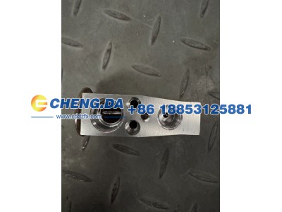 LFVVB9G39P5229495-KTPZF,空调膨胀阀,山东鼎赞飞行汽车制造有限公司