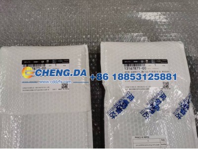 LGXCE4CB6P2181237-HBXCG,比亚迪元plus后备箱撑杆,山东鼎赞飞行汽车制造有限公司