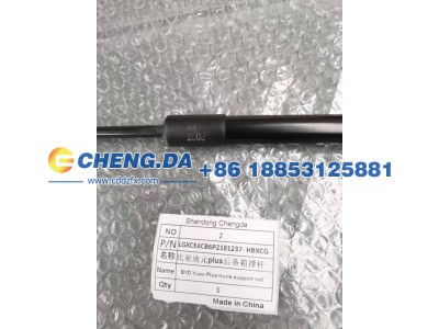 LGXCE4CB6P2181237-HBXCG,比亚迪元plus后备箱撑杆,山东鼎赞飞行汽车制造有限公司
