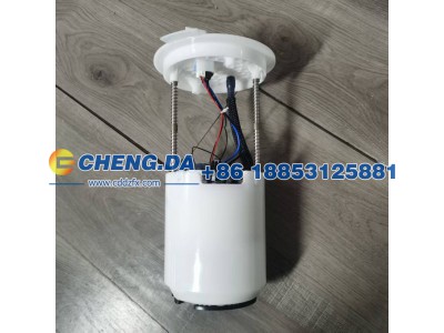 LS62H93S0SG803543-RYLQQ,燃油滤清器,山东鼎赞飞行汽车制造有限公司