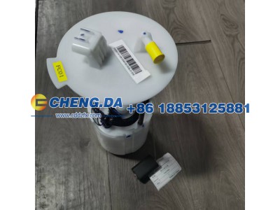 LS62H93S0SG803543-RYLQQ,燃油滤清器,山东鼎赞飞行汽车制造有限公司