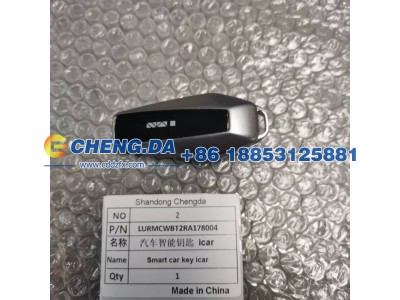 LURMCWBT2RA178004,汽车智能钥匙,山东鼎赞飞行汽车制造有限公司