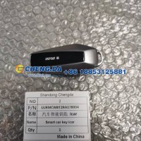 LURMCWBT2RA178004汽车智能钥匙
