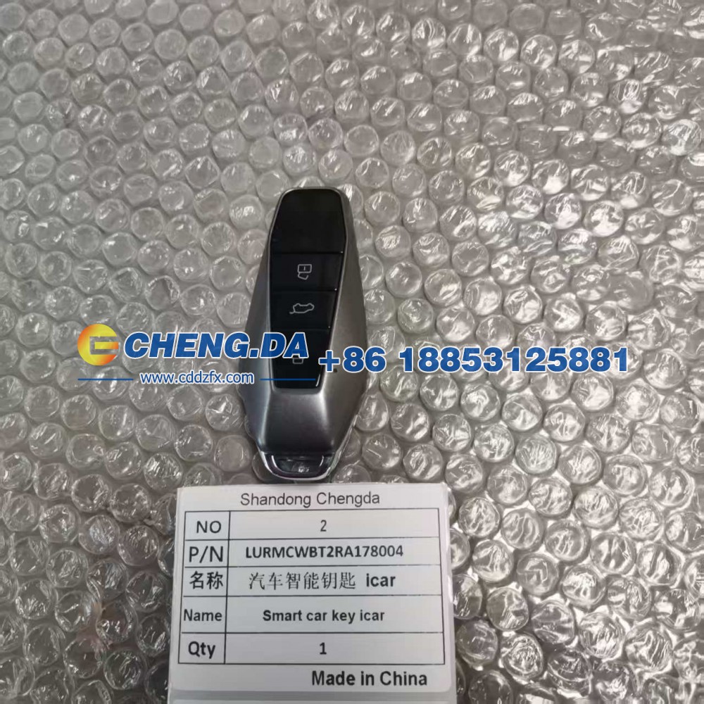 LURMCWBT2RA178004,汽车智能钥匙,山东鼎赞飞行汽车制造有限公司