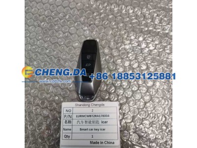 LURMCWBT2RA178004,汽车智能钥匙,山东鼎赞飞行汽车制造有限公司
