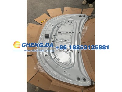 LGXCE4DB9P2021321,前舱盖总成（比亚迪元plus 22款  滑雪白）,山东鼎赞飞行汽车制造有限公司