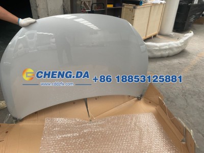 LGXCE4DB9P2021321,前舱盖总成（比亚迪元plus 22款  滑雪白）,山东鼎赞飞行汽车制造有限公司