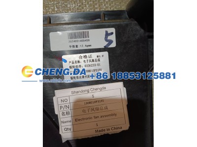 1308010P31F0,电子风扇总成,山东鼎赞飞行汽车制造有限公司