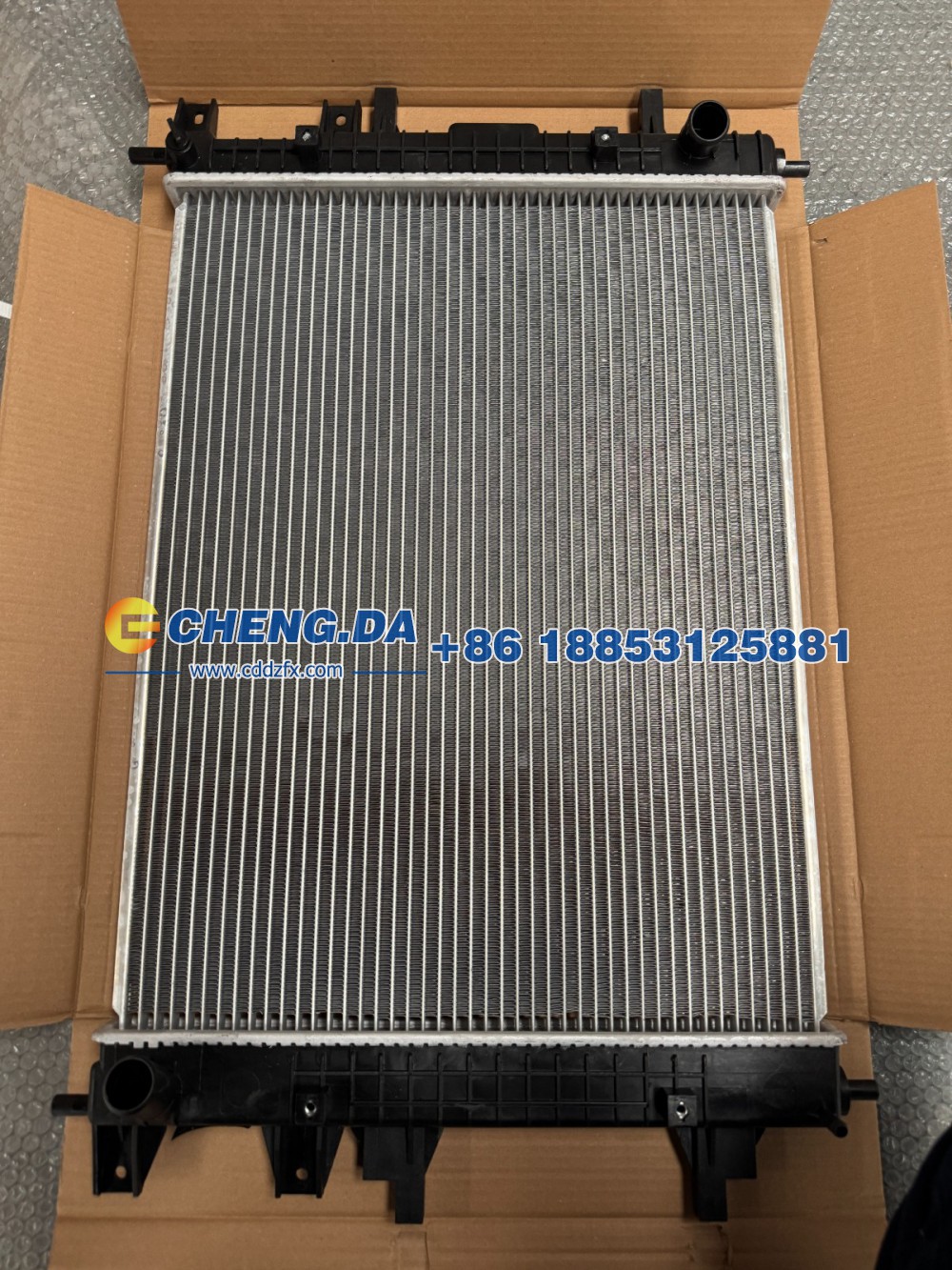 302001019AA低温散热器总成