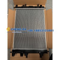302001019AA低温散热器总成