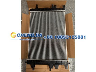 302001019AA,低温散热器总成,山东鼎赞飞行汽车制造有限公司