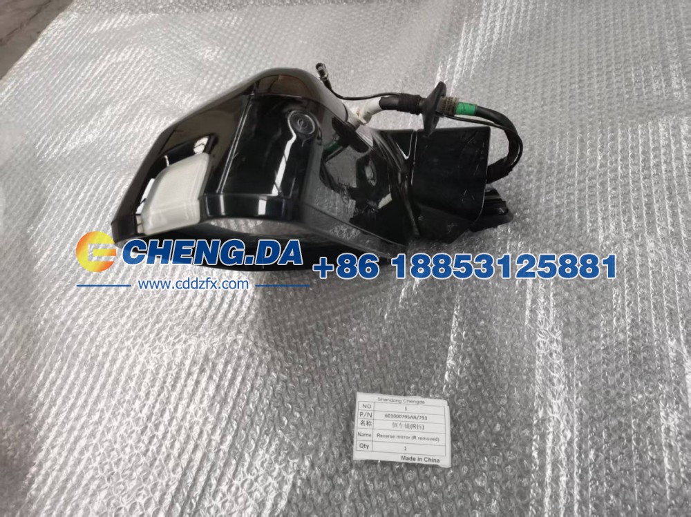 601000795AA-793,倒车镜R,山东鼎赞飞行汽车制造有限公司