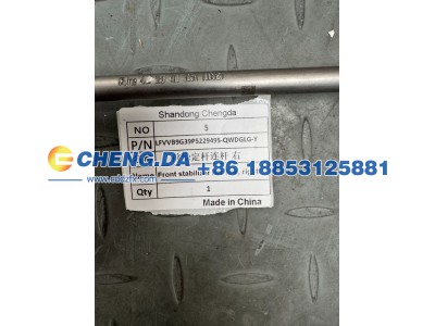 LFVVB9G39P5229495,QWDGLG-Y前稳定杆连杆 右,山东鼎赞飞行汽车制造有限公司
