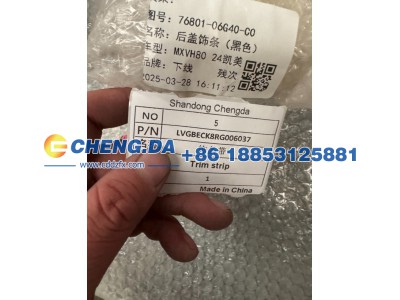 LVGBECK8RG006037,尾部饰条,山东鼎赞飞行汽车制造有限公司