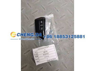 LFVTB9E69R5010110,智能钥匙 （包匹配）,山东鼎赞飞行汽车制造有限公司