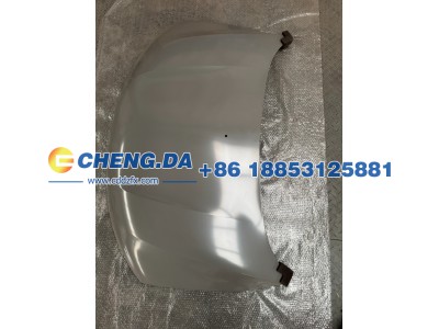 LDP42A963R9000957,机盖,山东鼎赞飞行汽车制造有限公司